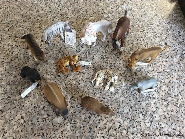 Diverse dieren - afbeelding 1 van  3