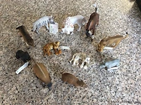 Diverse dieren - afbeelding 1 van  3