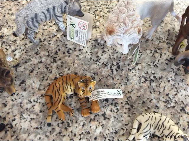 Diverse dieren - afbeelding 2 van  3