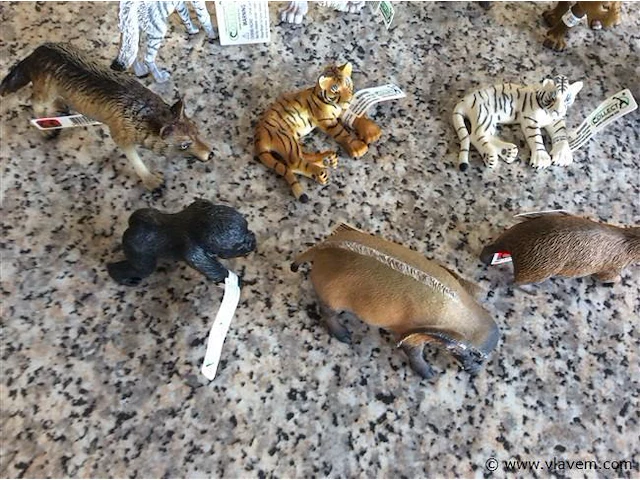 Diverse dieren - afbeelding 3 van  3