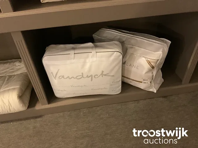 Diverse donsdekens - afbeelding 3 van  5
