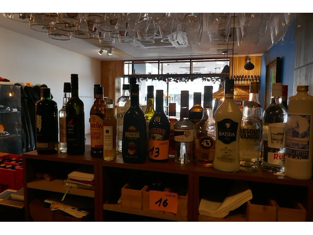 Diverse gebruikte en nieuwe flessen sterke drank + diverse items - afbeelding 1 van  10