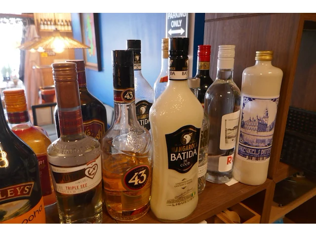 Diverse gebruikte en nieuwe flessen sterke drank + diverse items - afbeelding 5 van  10