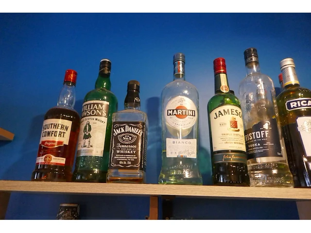 Diverse gebruikte en nieuwe flessen sterke drank + diverse items - afbeelding 6 van  10