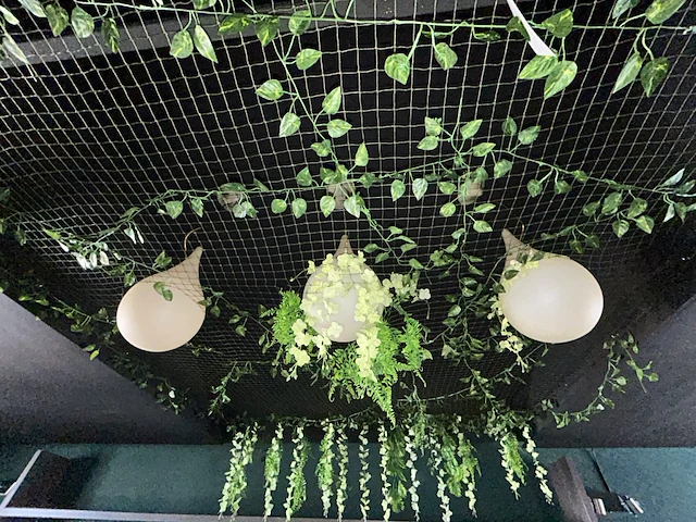 Diverse groendecoratie - afbeelding 1 van  4