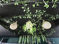 Diverse groendecoratie - afbeelding 1 van  4