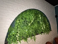 Diverse groendecoratie - afbeelding 3 van  4