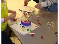 Diverse hobby- en knutselmaterialen - afbeelding 19 van  73