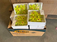 Diverse hobby- en knutselmaterialen - afbeelding 5 van  84