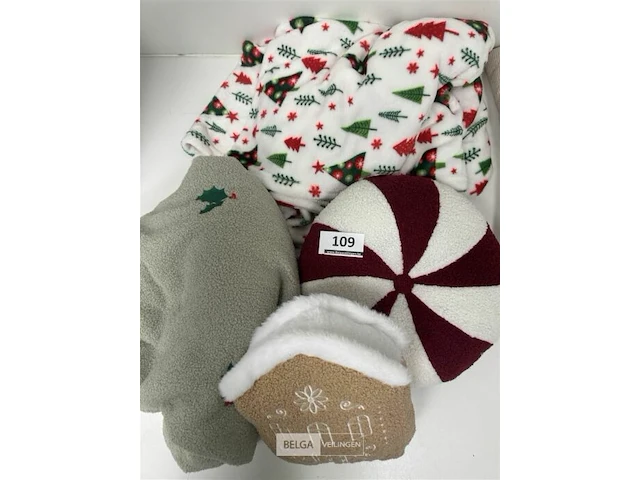 Diverse kerstkussens en dekens - afbeelding 3 van  3
