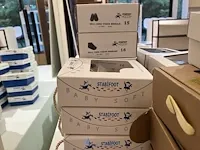 Diverse kinderschoenen - afbeelding 7 van  15