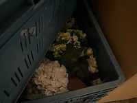 Diverse kunstbloemen en planten - afbeelding 3 van  8