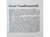Diverse kunstenaars - lot van 10 prints - diverse technieken - afbeelding 6 van  38