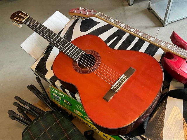 Diverse muziekinstrumenten - afbeelding 9 van  14