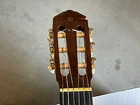 Diverse muziekinstrumenten - afbeelding 10 van  14