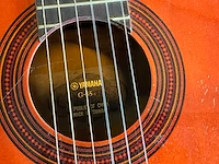 Diverse muziekinstrumenten - afbeelding 11 van  14