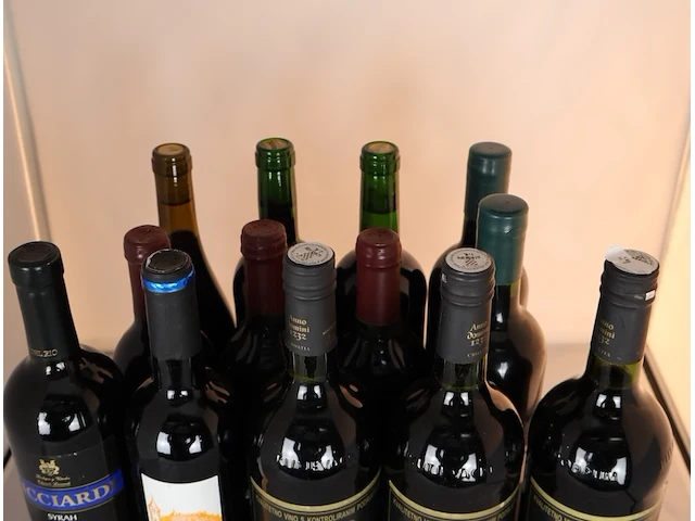 Diverse wijnen (x13) - afbeelding 6 van  13
