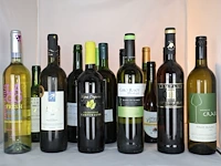 Diverse wijnen (x18) - afbeelding 1 van  21