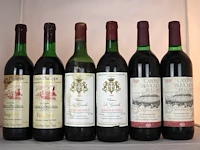 Diverse wijnen (x6)