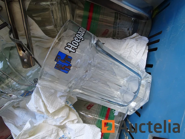 Diversen set: bril, spaghettitang, 2 gezwollen strandpoefs... - afbeelding 10 van  13