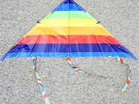 Diversen - afbeelding 1 van  1