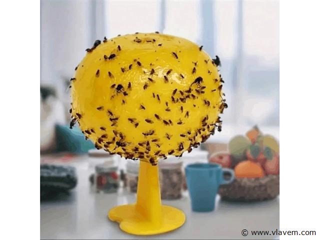 Diversen - afbeelding 1 van  1