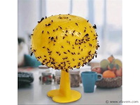 Diversen - afbeelding 1 van  1