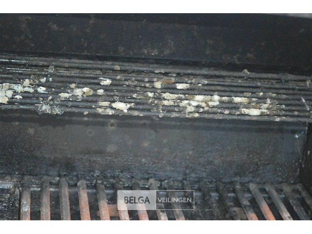 Dmc gas bbq - afbeelding 9 van  9