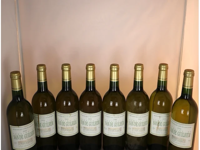 Domaine de san de guilhem 2004 (x8) - afbeelding 2 van  4