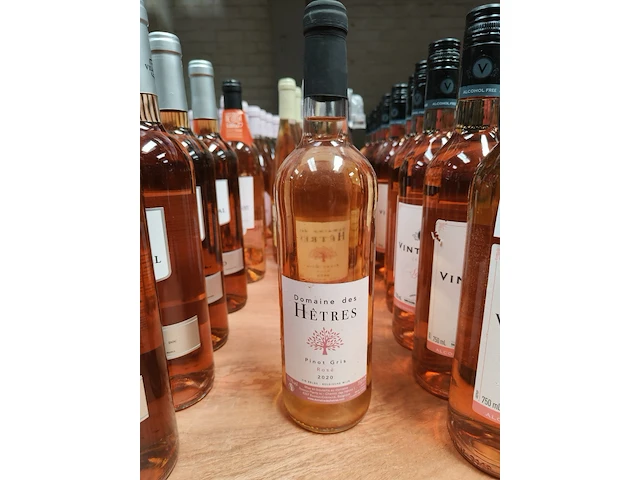 Domaine des hêtre pinot gris rosé 2020 13,5% - afbeelding 1 van  3