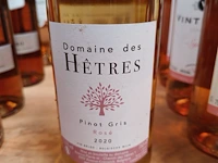 Domaine des hêtre pinot gris rosé 2020 13,5% - afbeelding 2 van  3