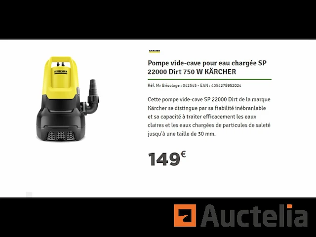 Dompelbare afvalwaterpomp kärcher sp 22.000 - afbeelding 1 van  5