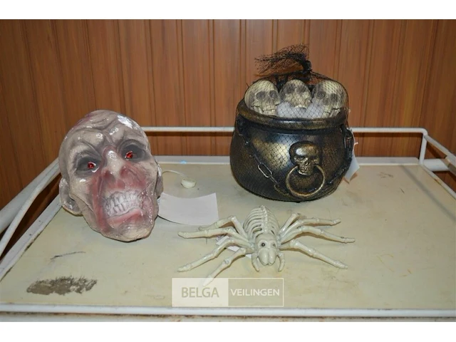 Doodskop, spin, soepketel met skulls - afbeelding 1 van  4