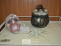 Doodskop, spin, soepketel met skulls - afbeelding 1 van  4