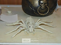 Doodskop, spin, soepketel met skulls - afbeelding 4 van  4
