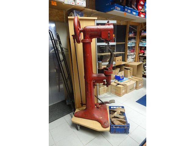 Doornaaier p.a. oosthoek - afbeelding 2 van  6