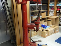 Doornaaier p.a. oosthoek - afbeelding 2 van  6