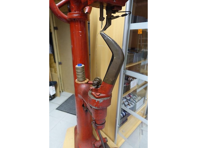 Doornaaier p.a. oosthoek - afbeelding 4 van  6