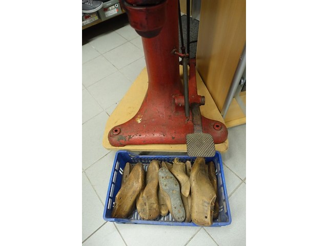 Doornaaier p.a. oosthoek - afbeelding 5 van  6