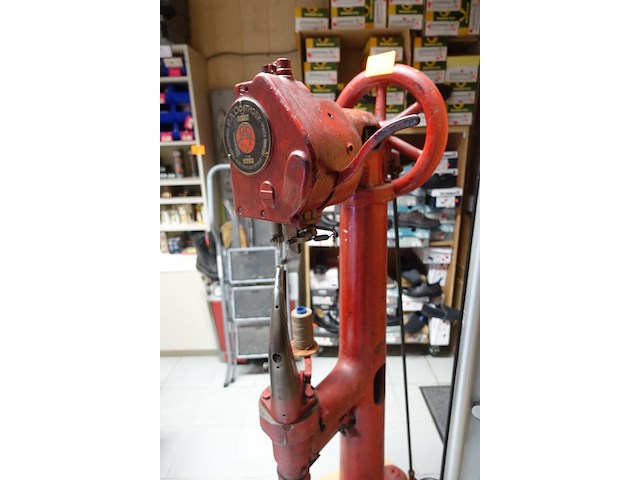 Doornaaier p.a. oosthoek - afbeelding 6 van  6