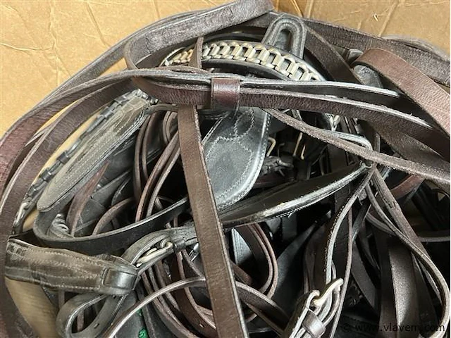 Doos, inh. partij paardensport toebehoren - afbeelding 2 van  2