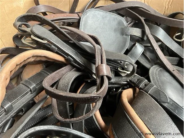 Doos, inh. partij paardensport toebehoren - afbeelding 3 van  3