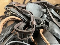 Doos, inh. partij paardensport toebehoren - afbeelding 3 van  3