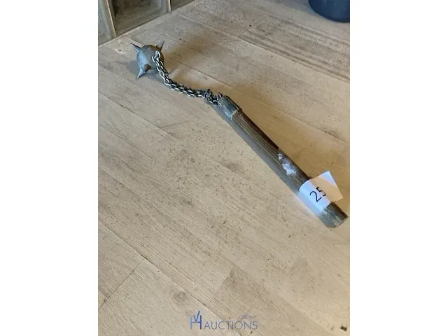 Dorstvlegel - afbeelding 2 van  2