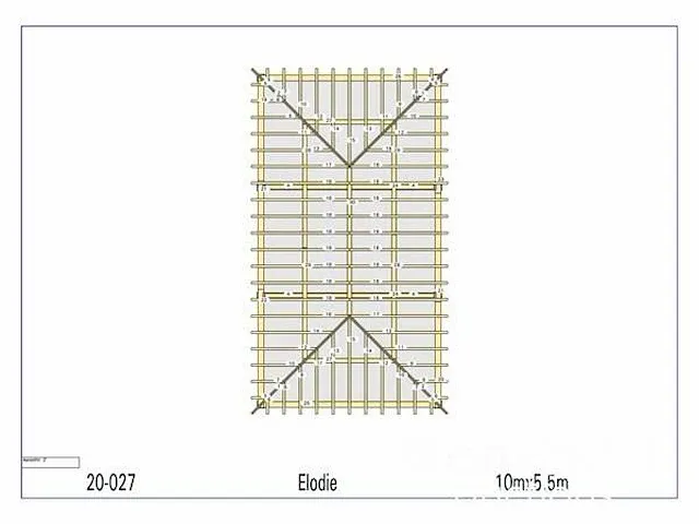 Douglas carport 10x5,5 - afbeelding 2 van  22