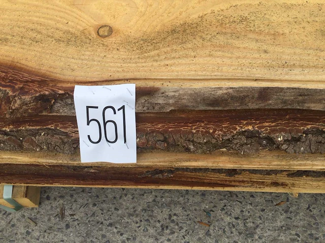 Douglas dakbeschot of verticale beplanking (5x) - afbeelding 20 van  22