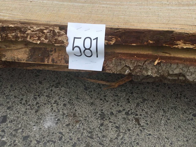 Douglas dakbeschot of verticale beplanking - afbeelding 8 van  8