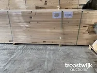 Douglas woning (40 m²) - afbeelding 19 van  26