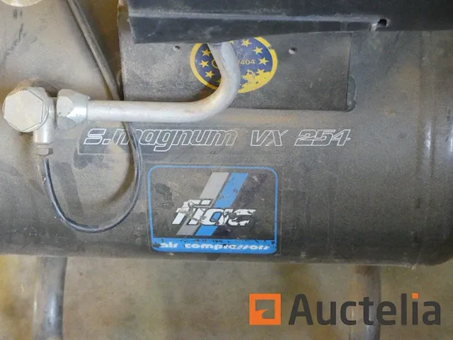 Draagbare compressor fiac magnum vx 254 - afbeelding 2 van  7