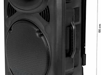 Draagbare luidspreker - 700 watt bleutooth - usb - karaoke - 2 microfoons - afbeelding 5 van  7